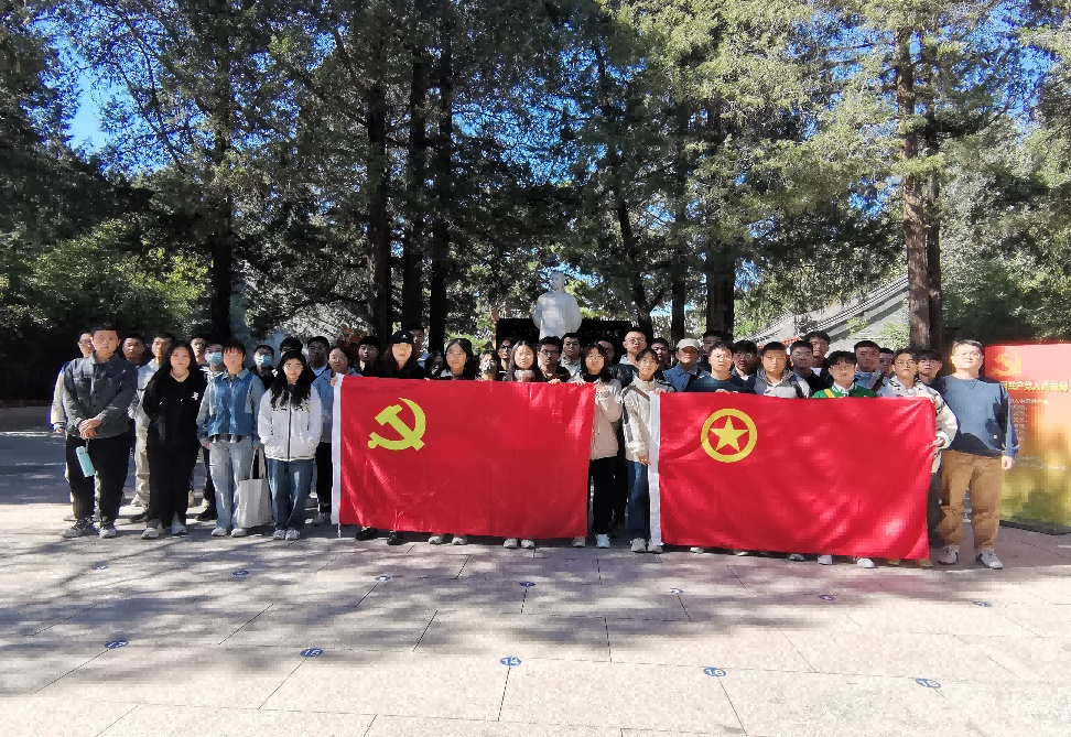 图片11