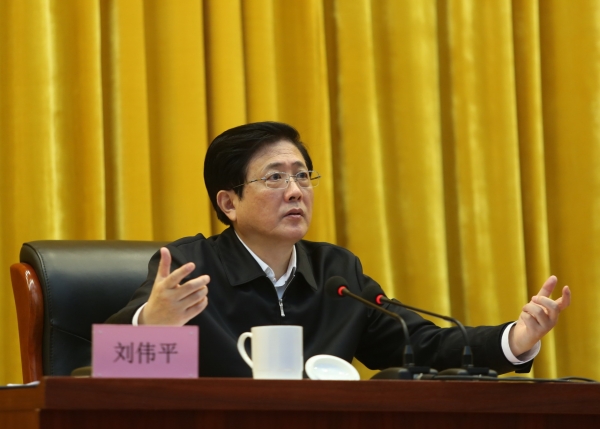 刘伟平做专题辅导报告