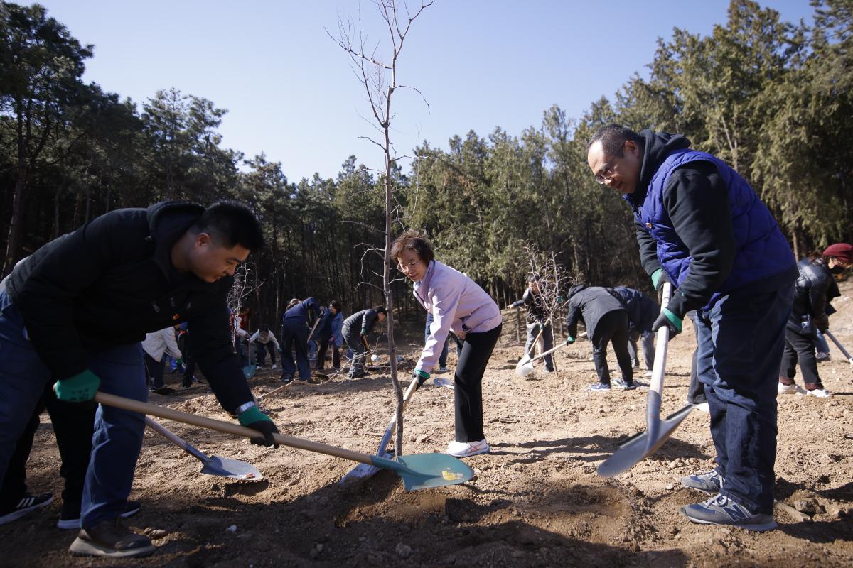 _B6A8295.JPG